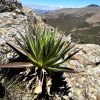 Matkareis Etioopias