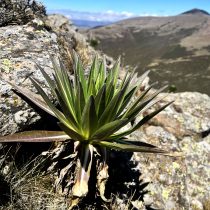 Matkareis Etioopias