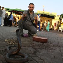 Matkareis Marokos