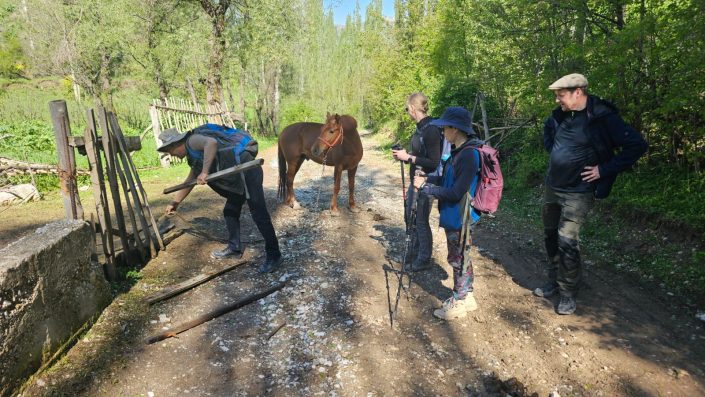 Madina Talu – Usbekistani matkapäevik 2026