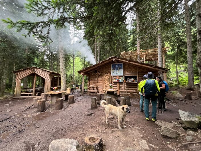 Matkapäevad Svaneetias: lilleaasad, külmad jõed ja Ušguli tornid
