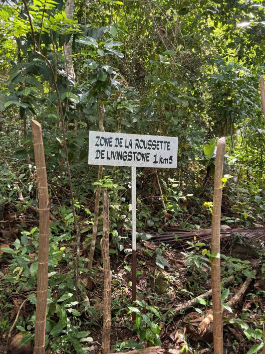 Komooride matkareis: vulkaanid, troopilised rajad ja India ookeani vähetuntud saared