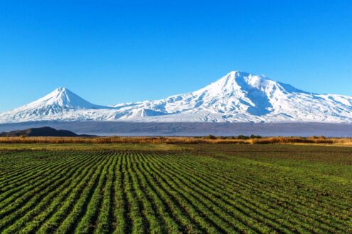 ararat