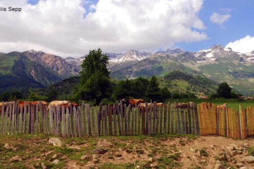 gru svaneti (42)